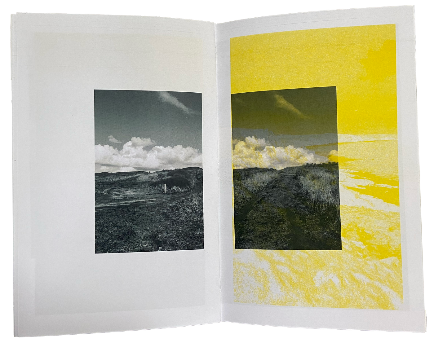 image 16