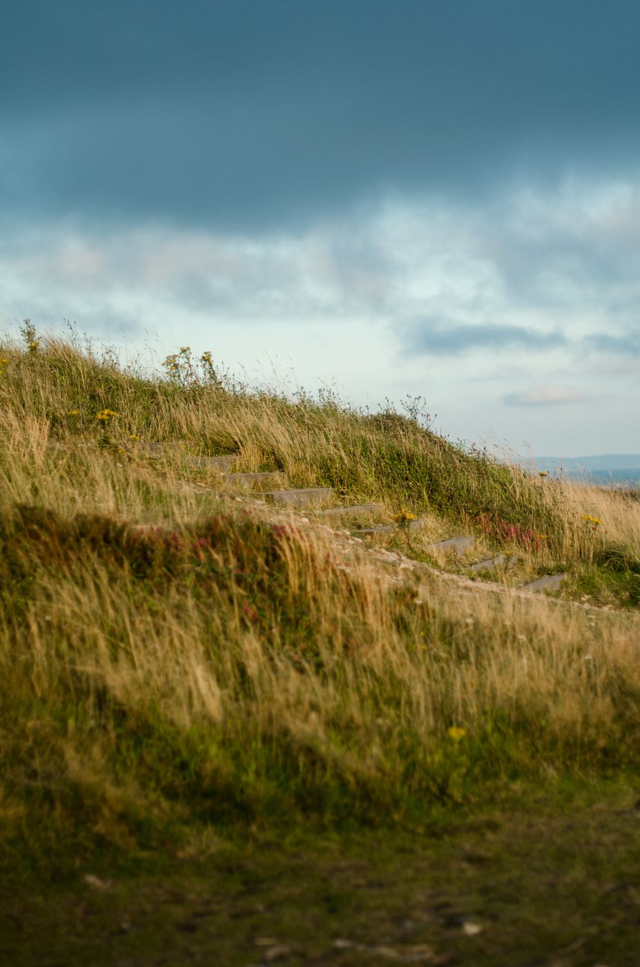 paysage chloé rioual