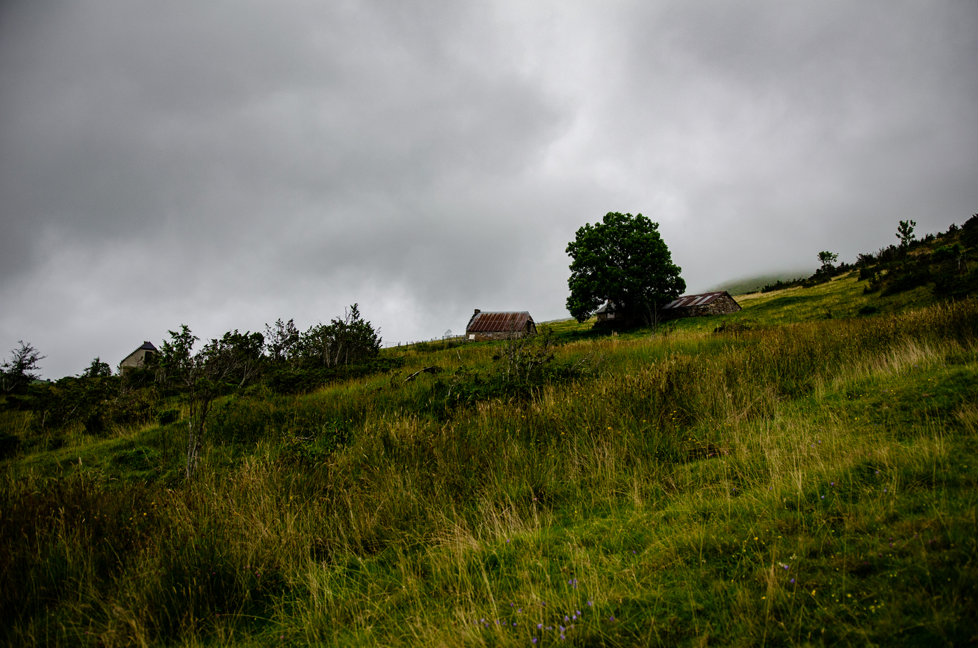 paysage chloé rioual