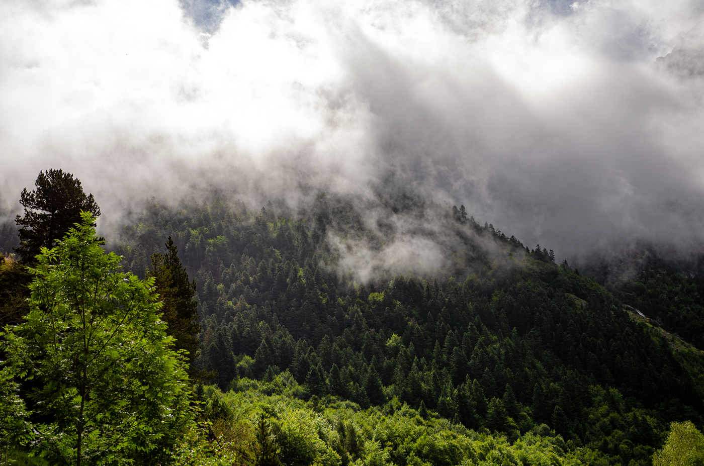 paysage chloé rioual